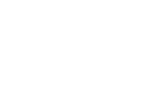 3LS Professional Services logo white