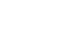 3LS Solutions logo white